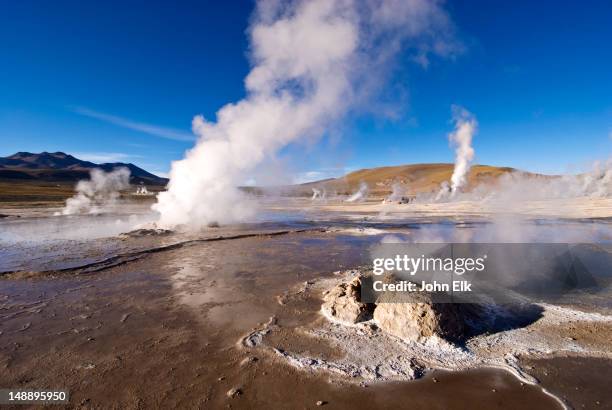 el tatio geysers. - san pedro de atacama stock-fotos und bilder