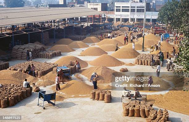 Mlo Rice Punjabi Market Photos and Premium High Res Pictures - Getty Images