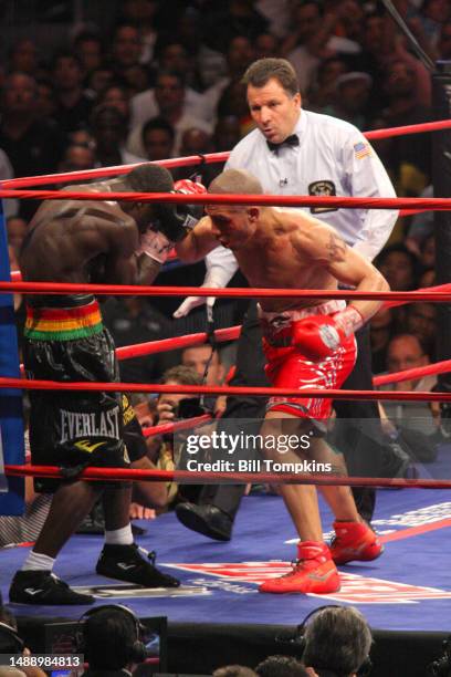Miguel Cotto defeats Joshua Clottey by Spit Decision during their Welterweight fight at Madison Square Garden on June 13th, 2009 in New York City.