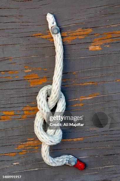 figure of eight knot - noeud coulant en huit photos et images de collection