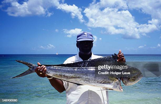 fisherman with dolphin fish (coryphaena hippurus). - fish barbados stock pictures, royalty-free photos & images