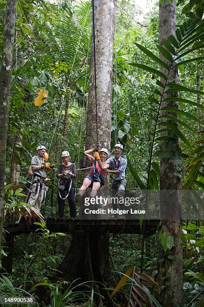 zip-line tour through rainforest canopy. - costa rica zipline stock pictures, royalty-free photos & images