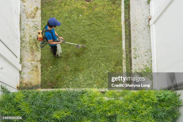 high angle view of man mowing grass with a trimmer - agricultural-machinery-repairs stock pictures, royalty-free photos & images