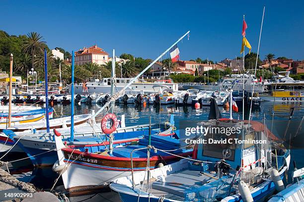 boats in harbour on ile de porquerolles. - porquerolles imagens e fotografias de stock