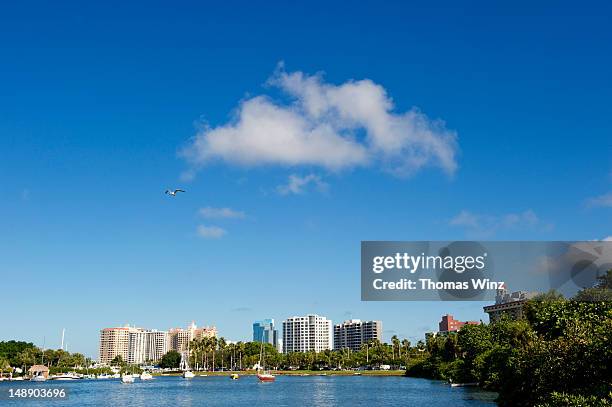 sarasota bay. - sarasota florida stock pictures, royalty-free photos & images