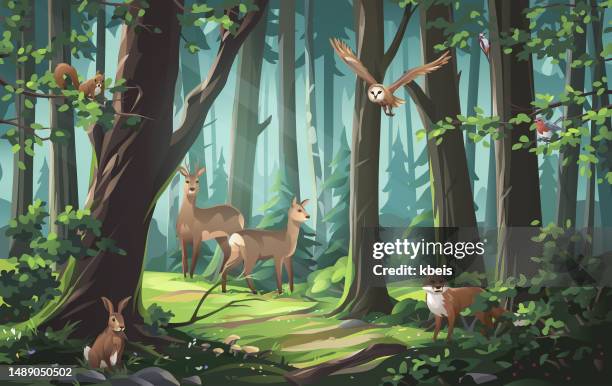 stockillustraties, clipart, cartoons en iconen met forest animals - deer