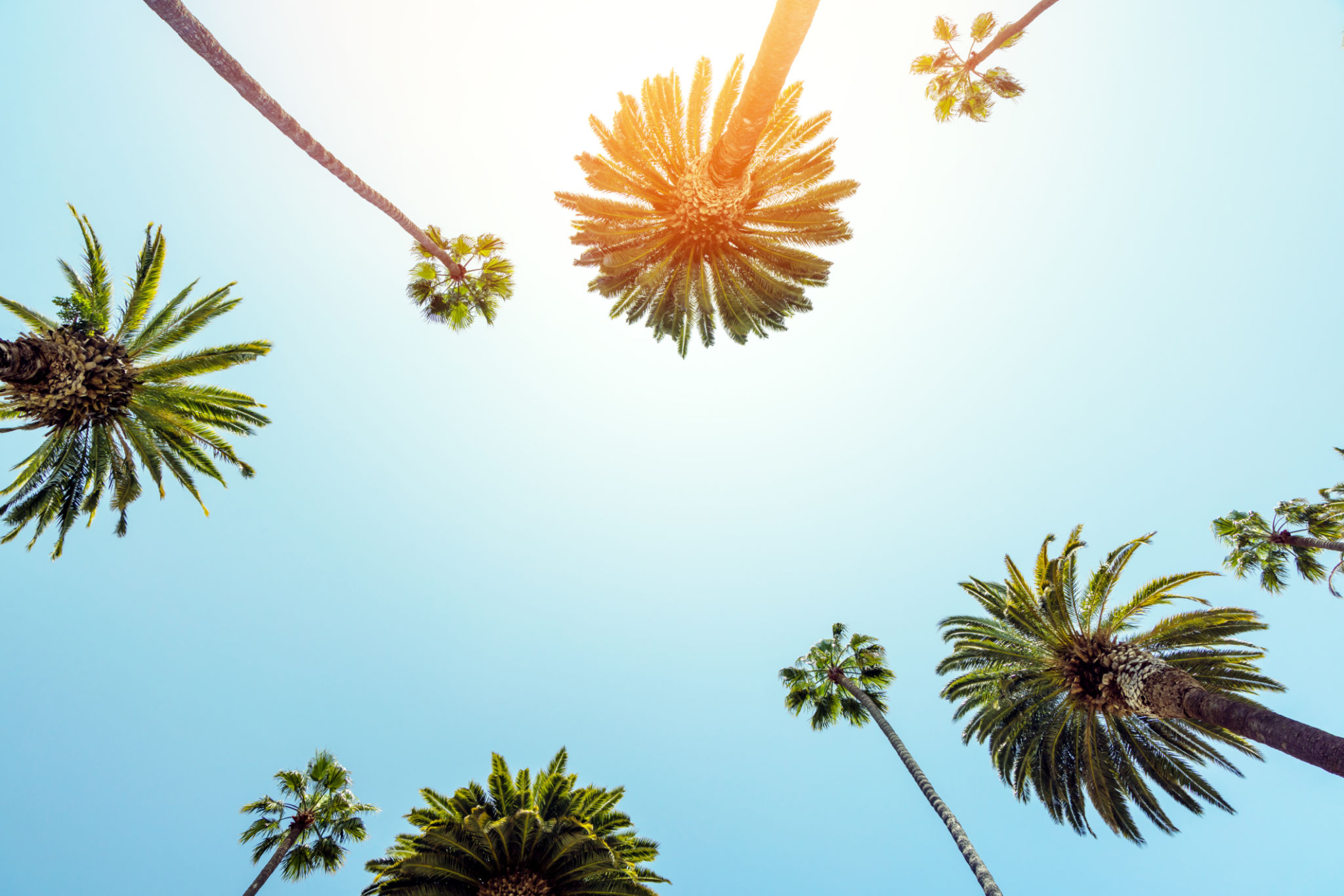 sacramento summer