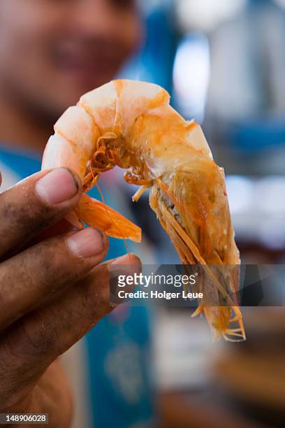 man displays prawn, mercado ver o peso market. - northern brazil ストックフォトと画像
