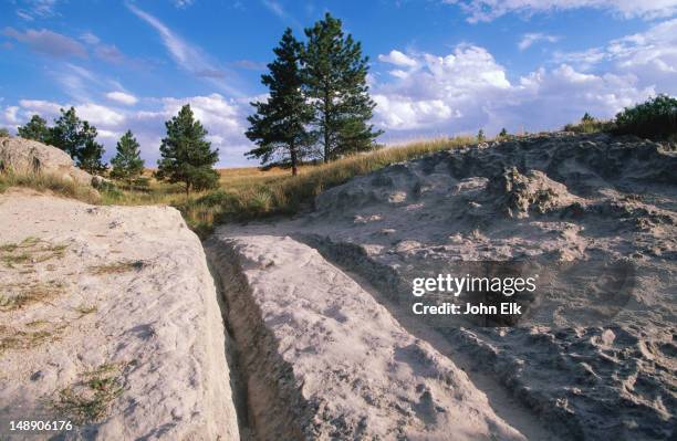 Trail Ruts 26 Oregon Trail Ruts Stock Photos, High-Res Pictures, and Images ...