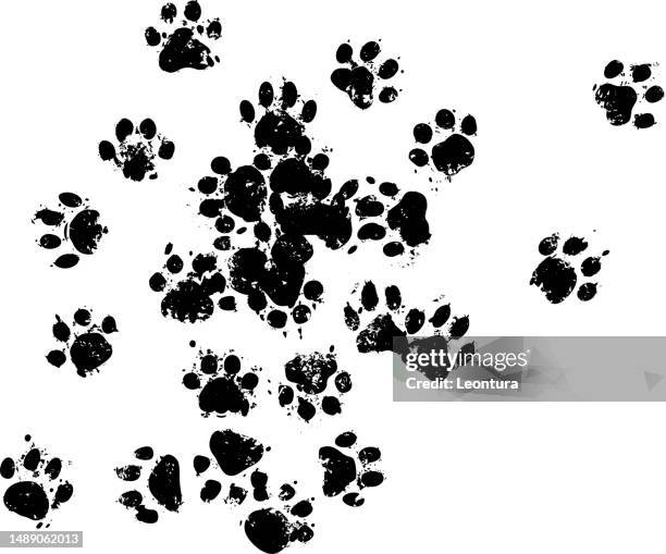 ilustrações de stock, clip art, desenhos animados e ícones de cat print footpath - pegada de pata de animal