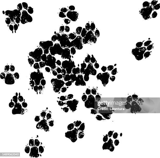 illustrazioni stock, clip art, cartoni animati e icone di tendenza di sentiero con stampa del cane - documento stampato