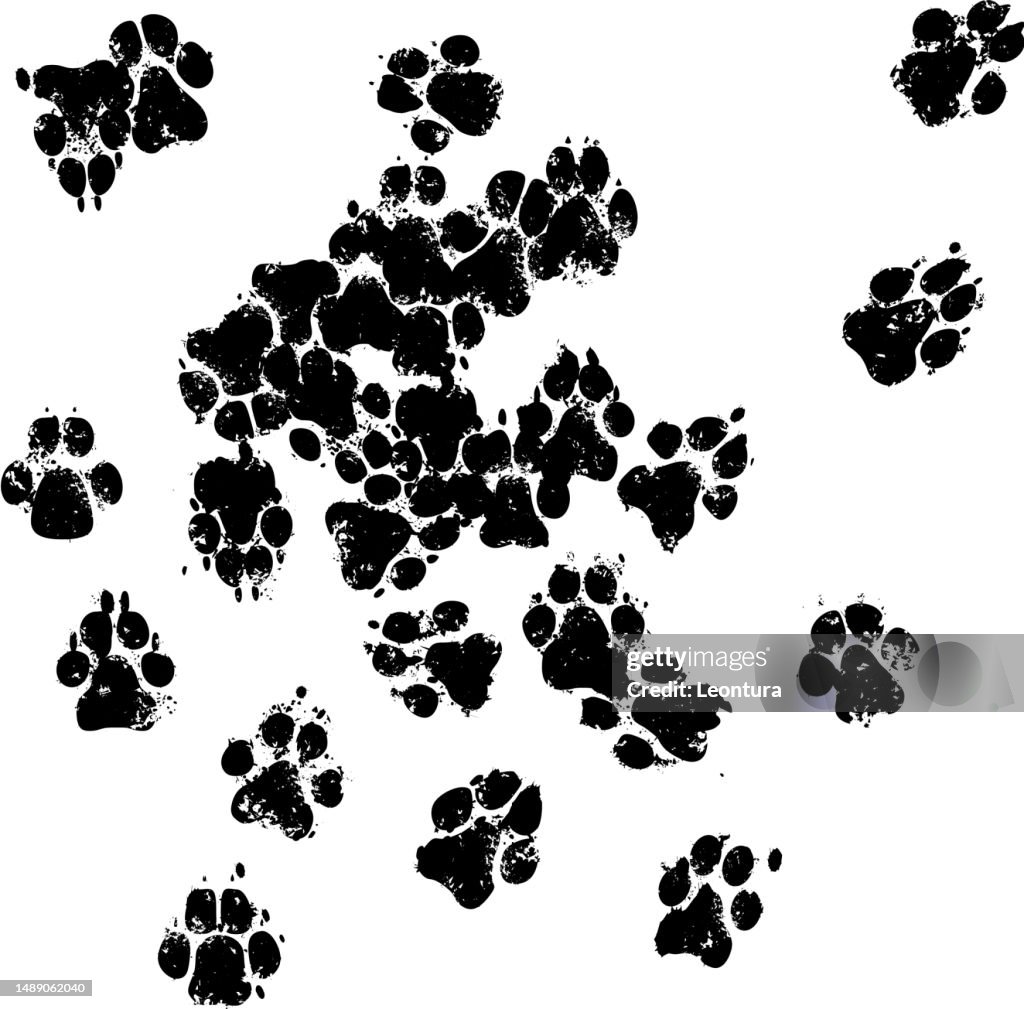 Dog Print Footpath