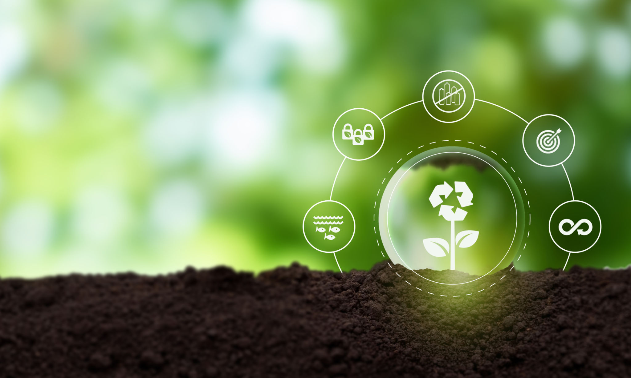 sustainability efforts