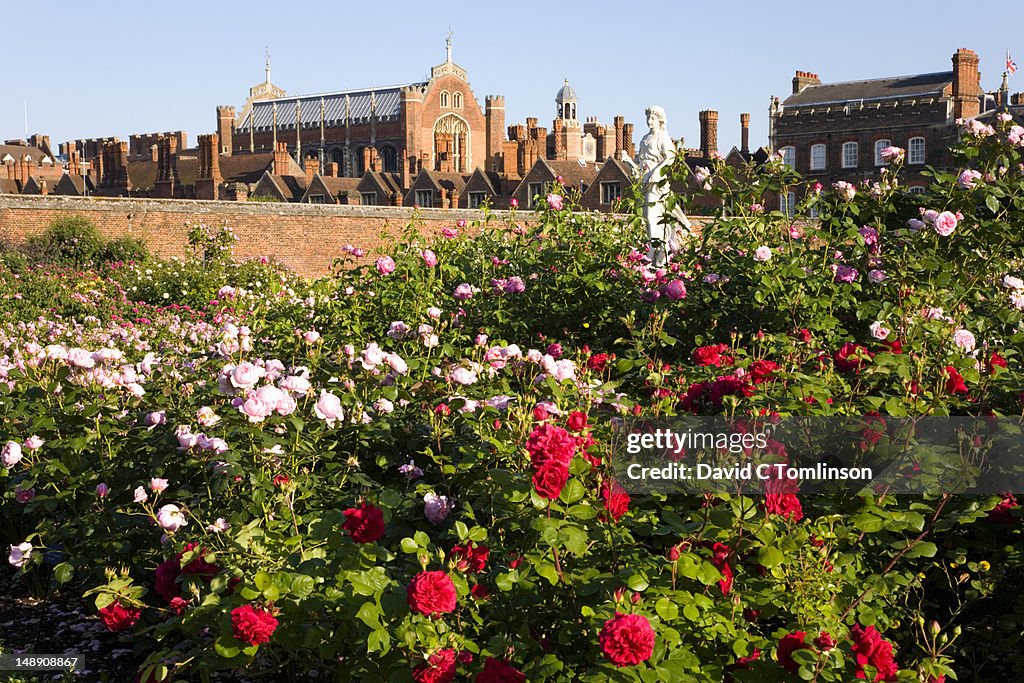 View from Rose Garden to Hampton Court Palace, Borough of Richmond upon Thames.