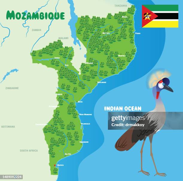 mozambique map, grey crowned crane, - grey crowned crane stock illustrations