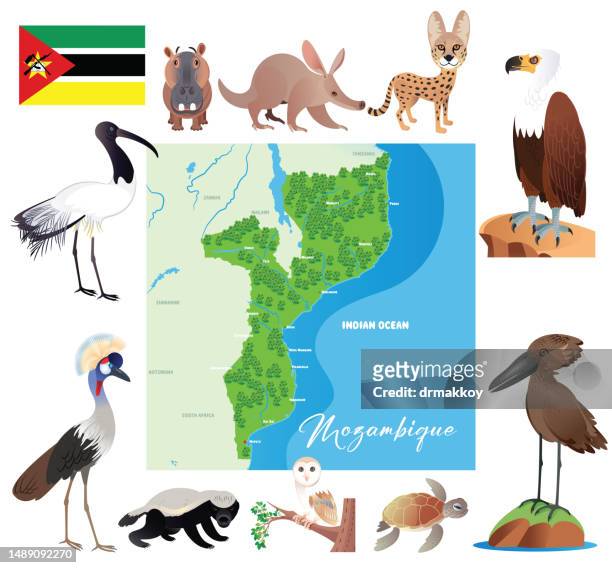 mozambique map - honey badger stock illustrations
