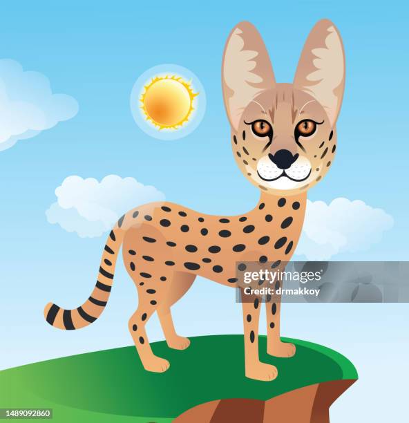 stockillustraties, clipart, cartoons en iconen met serval cat, leptailurus serval - serval