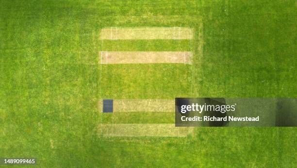 cricket field - cricket game fun stock-fotos und bilder