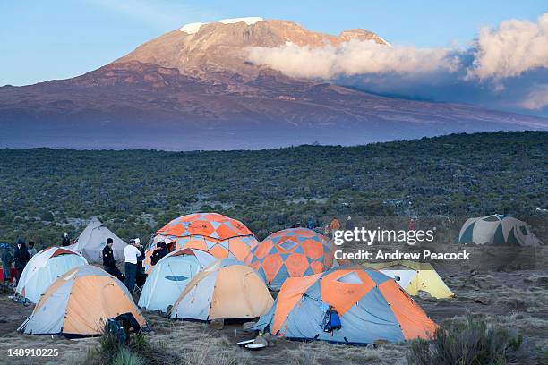 shira camp one, lemosho trail, mount kilimanjaro. - mt kilimanjaro stock pictures, royalty-free photos & images