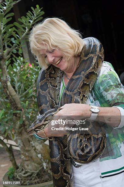 87 Python Island Stock Photos, High-Res Pictures, and Images - Getty Images