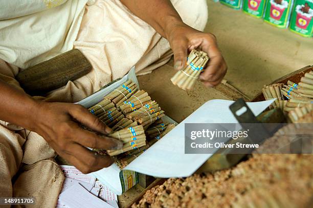 making cigaretees at beedi factory (sri lankan cigarette). - beedi stock pictures, royalty-free photos & images