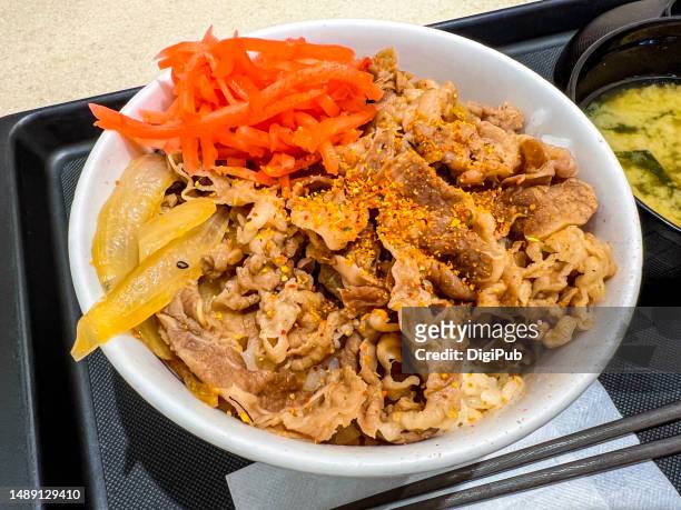 gyudon, gyumeshi - rice bowl topped with beef and onion simmered in mildly sweet sauce flavored with dashi, soy sauce and mirin - rice bowl stockfoto's en -beelden