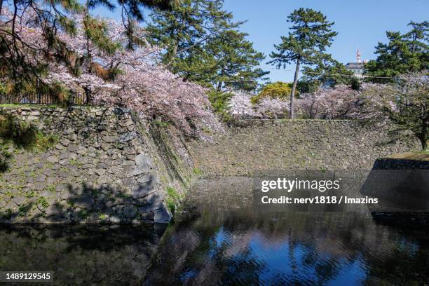 1-2 jonai, kokura kita ward, kitakyushu city, fukuoka prefecture, japan - 北九州市 個照片及圖片檔