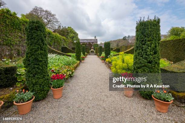 plas cadnant hidden gardens, menai bridge, anglesey, north wales - garden path stock pictures, royalty-free photos & images
