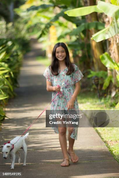 casual portrait of young hawaiian adolescent girl walking her dog - polinesische cultuur stockfoto's en -beelden