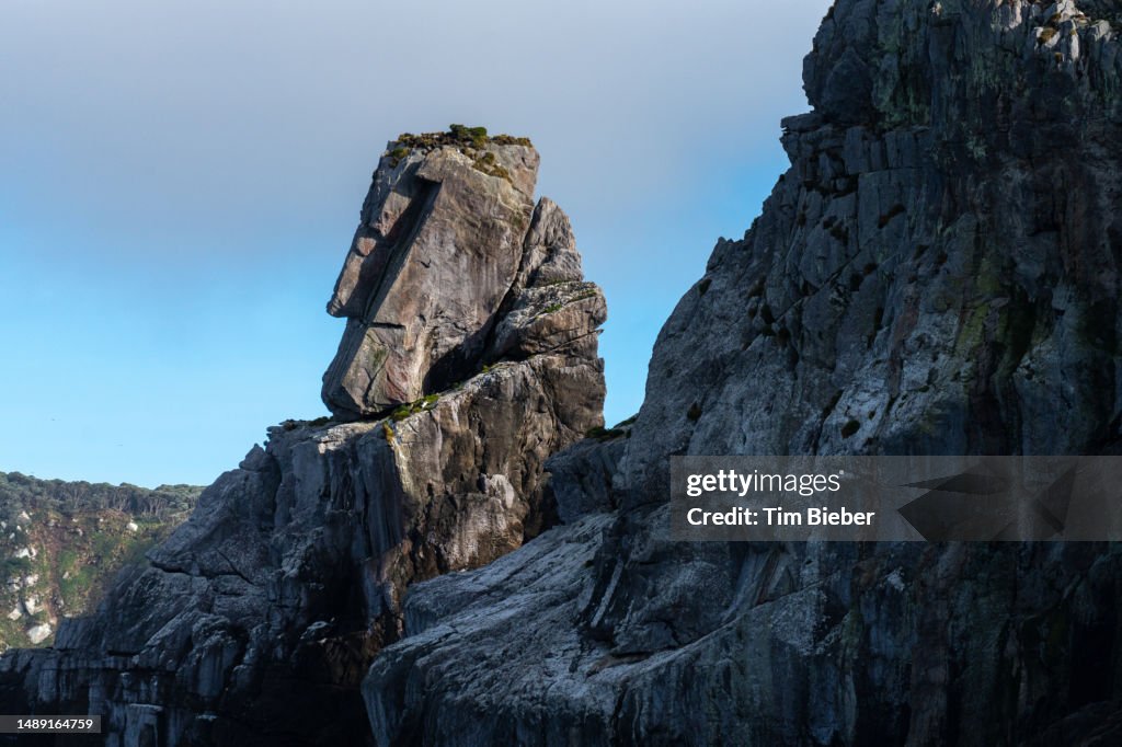 Sheer rock formations in the Snares Islands.