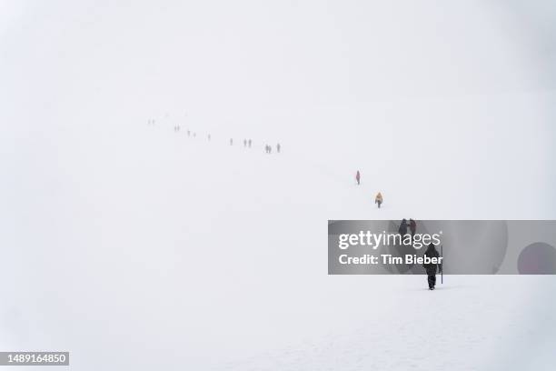 a group of hikers in snow - antarctica people stock pictures, royalty-free photos & images