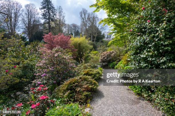 plas cadnant hidden gardens, menai bridge, anglesey, north wales - plas cadnant hidden gardens stock pictures, royalty-free photos & images