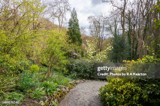 plas cadnant hidden gardens, menai bridge, anglesey, north wales - plas cadnant hidden gardens stock pictures, royalty-free photos & images