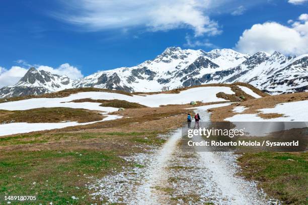 hikers walking to snowcapped mountains in spring - snow on grass stock pictures, royalty-free photos & images