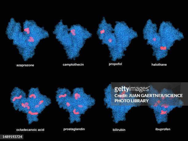 human serum albumin protein with various ligands, illustration - blood plasma stock illustrations