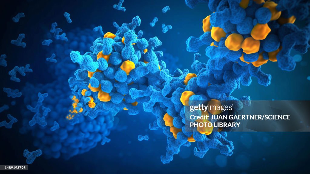 Polimerisation Sign Polymerisation Illustration High-Res Vector Graphic - Getty Images