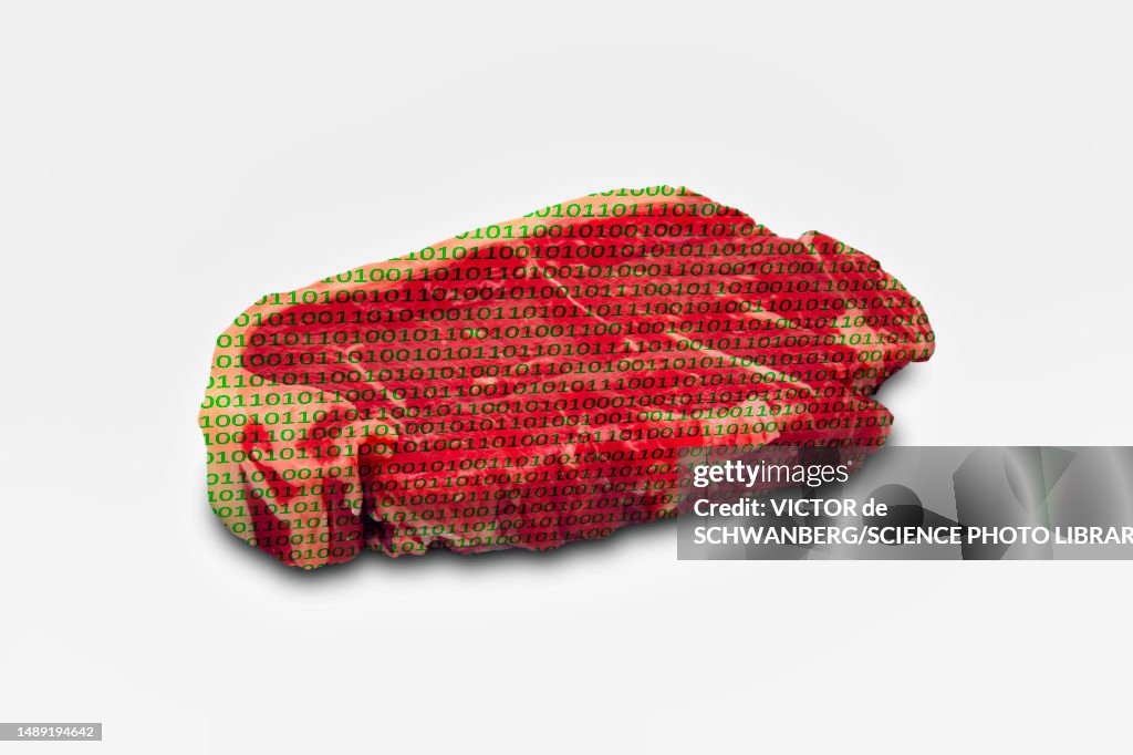 Artificial meat, conceptual composite image