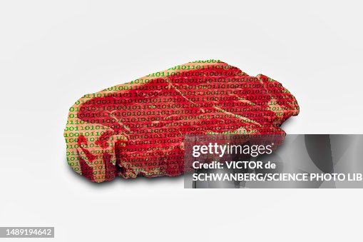 Artificial meat, conceptual composite image Artificial meat, conceptual composite image