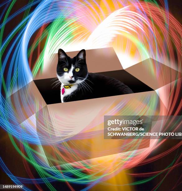 schrodinger's cat, composite illustration - quantum physics stock pictures, royalty-free photos & images
