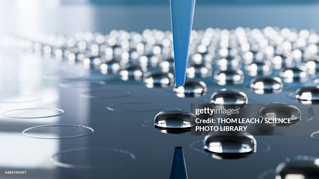 Samples on a microarray, illustration