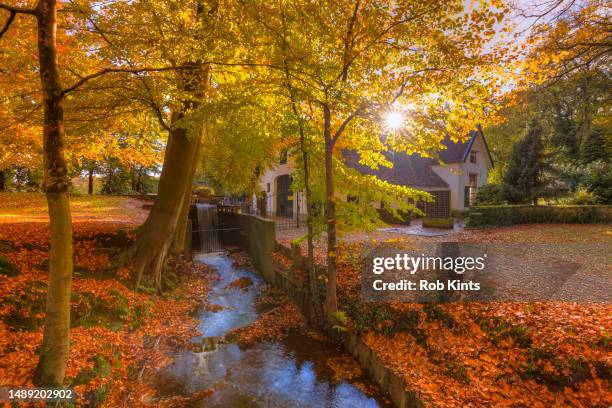 staverden water mill and beautiful autumn foliage - waterrad stockfoto's en -beelden