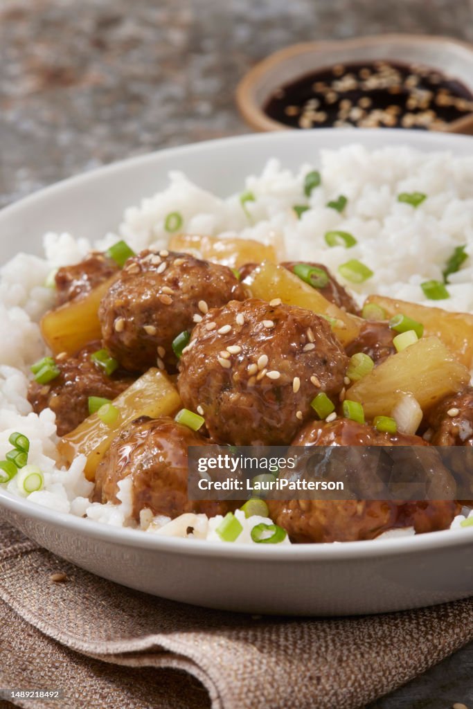 Teriyaki PORK Fleischbällchen