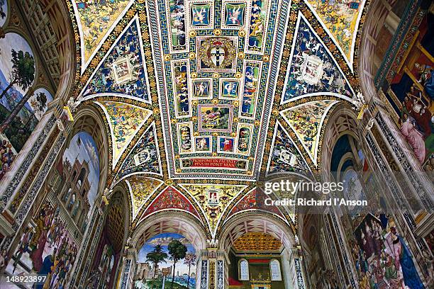 frescos by bernardino pinturicchio in piccolomini library in siena cathedral. - duomo di siena stock pictures, royalty-free photos & images