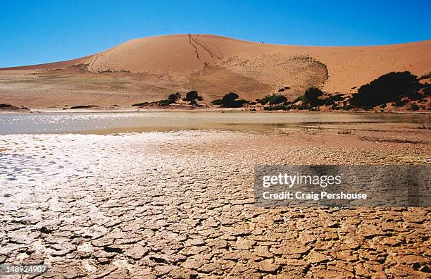 parched lake bed with sand dune in background. - dried lake bed stock pictures, royalty-free photos & images