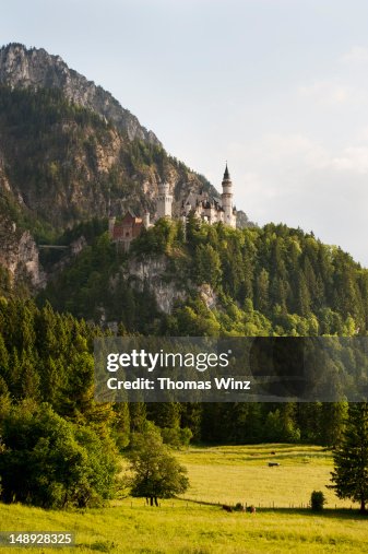 Neuschwanstein Castle.