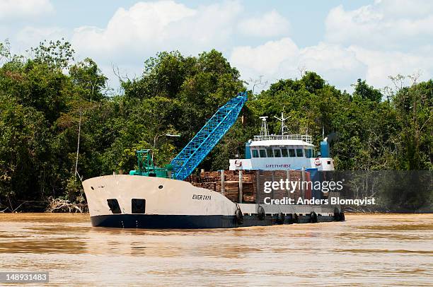 cargo boat transporting load of cut wood on lower batang rejang near sibu. - sibu river stock pictures, royalty-free photos & images