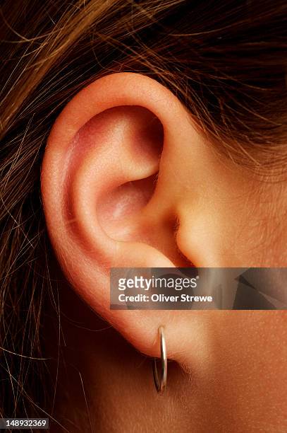 woman's ear with earring. - ohrring stock-fotos und bilder