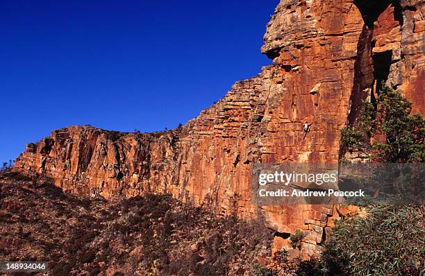 rock climbing on the moonarie cliffs. - flinders ranges stock-fotos und bilder