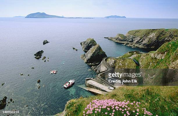 slea head in front of blasket islands harbour. - dingle ireland stock pictures, royalty-free photos & images