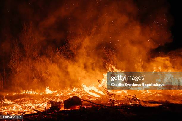 forest fire at night - black firefighter stock pictures, royalty-free photos & images